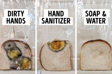 How a Slice of Bread Made Hand Washing a Piece of Cake