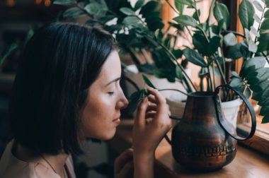 Beyond Good Smells, Does Aromatherapy Really Work?